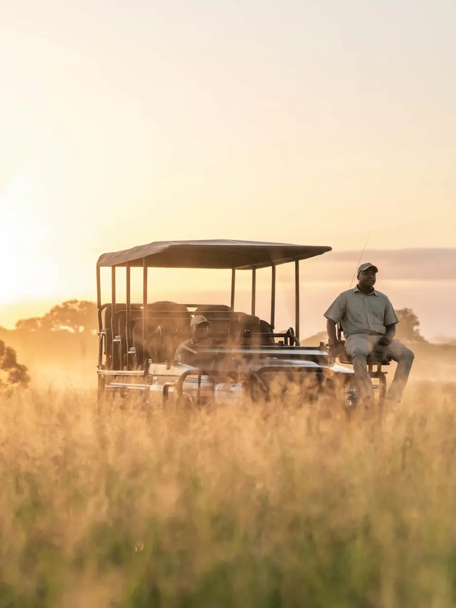 Guided open-vehicle game drive through golden grasslands at sunrise in Kruger National Park, South Africa