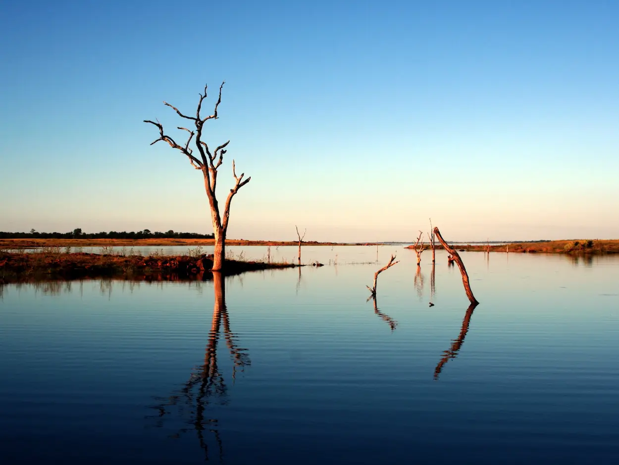 Dead trees reflecting in the calm waters of Lake Kariba at sunset in Zimbabwe